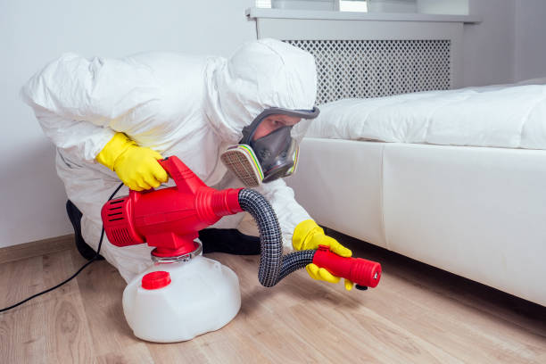 Trusted Hayti, MO Pest Control Experts