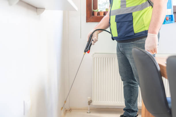Best Emergency Pest Control  in Hayti, MO