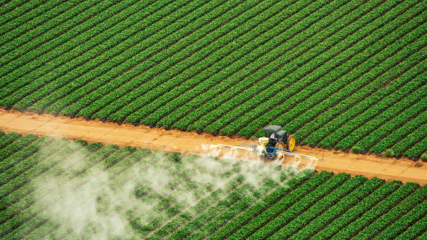 Best Pest Inspection Near Me  in Hayti, MO